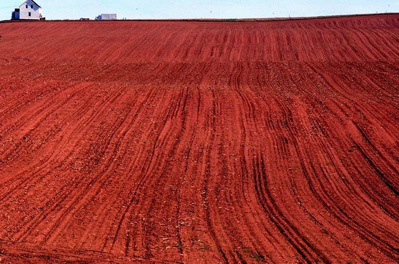 Red Soil Bdbe44d01e 800x530 